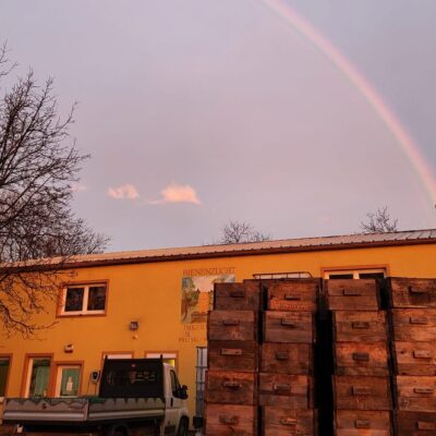 bienenhof_mandl